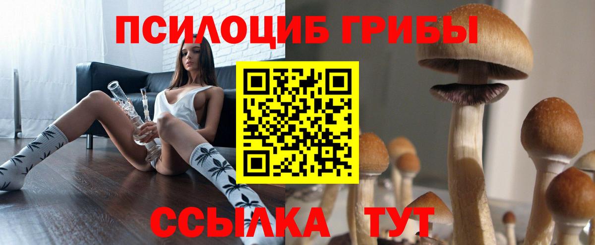 Псилоцибиновые грибы Magic Shrooms  Псилоцибиновые грибы Psilocybine cubensis  что такое   Вход с VPN  Дивногорск 
